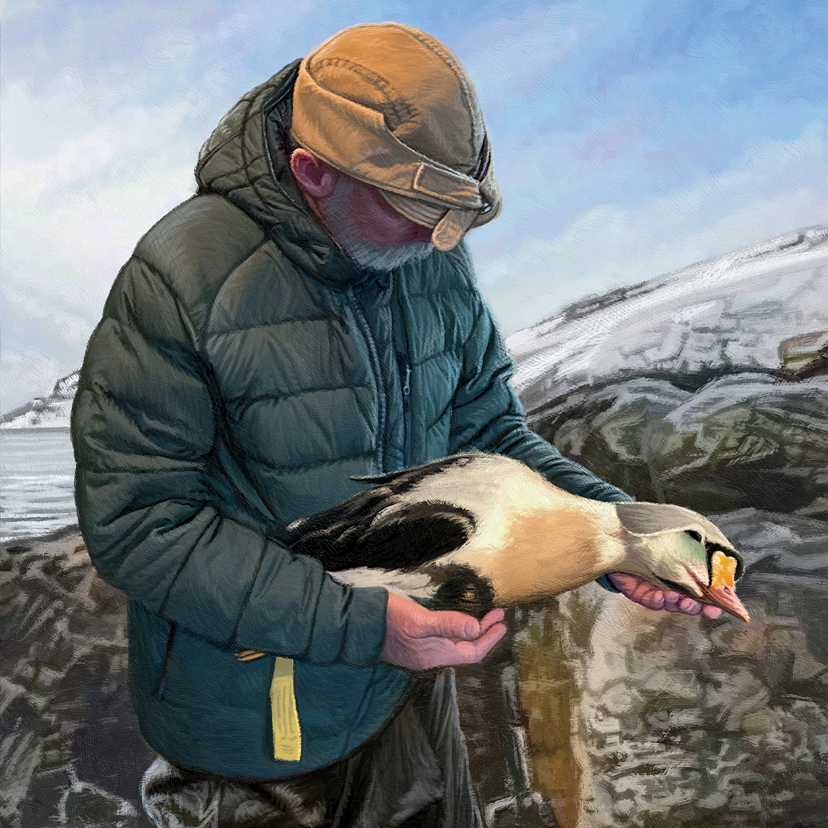 Illustration by Dan Burr